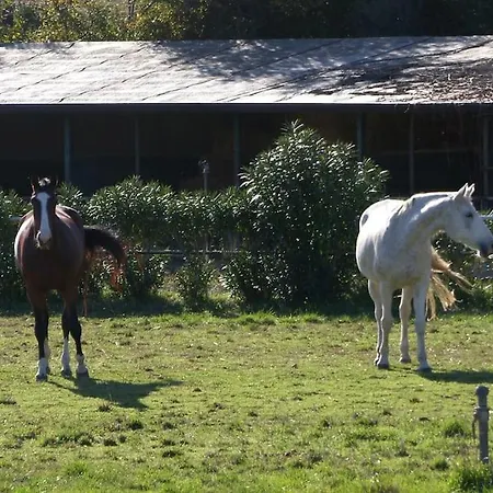 Le 3 بيت للعطل باري ساردو