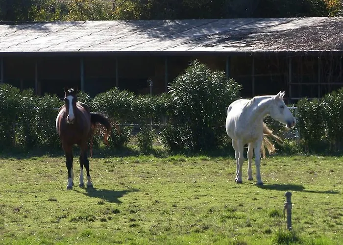 Le 3 Tatil Evi Bari Sardo